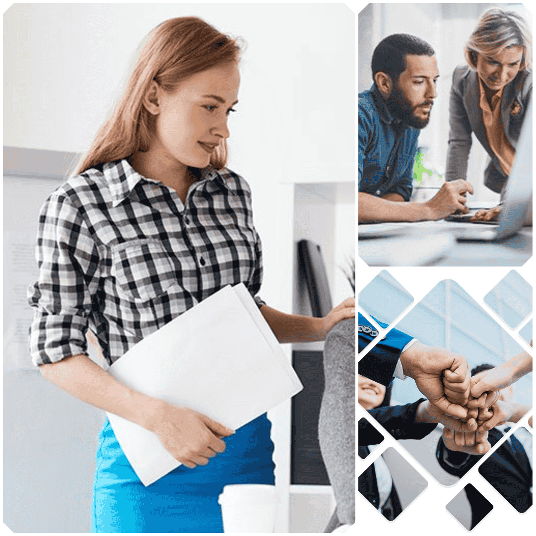 CY Global Business Consulting Team